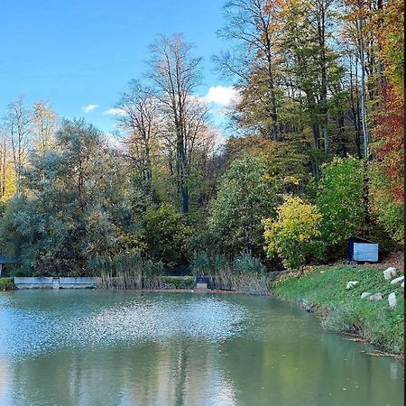 Orlyne Gnizdo Ξενοδοχείο Chernivtsi Εξωτερικό φωτογραφία