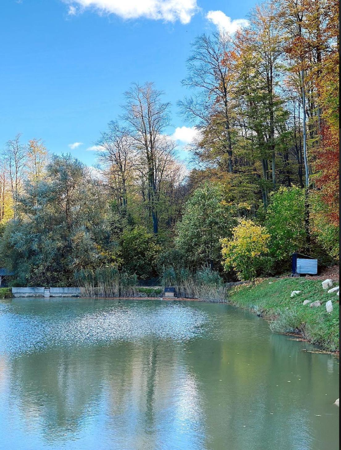 Orlyne Gnizdo Ξενοδοχείο Chernivtsi Εξωτερικό φωτογραφία